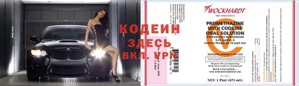 мдпв Заводоуковск