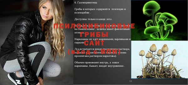 дурь Сосновка