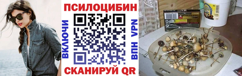где найти наркотики  hydra   Псилоцибиновые грибы GOLDEN TEACHER  Теберда 